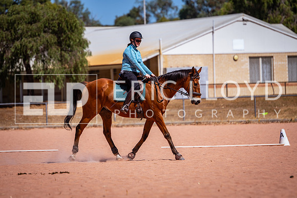 IMGP1379