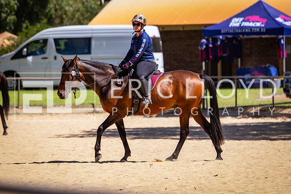 IMGP1425
