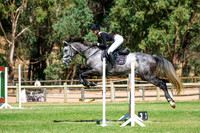 5. Horseland Midland 1.00-1.04m