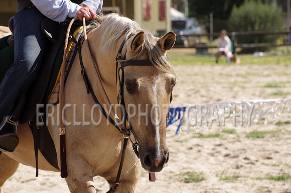 untitled-0855
