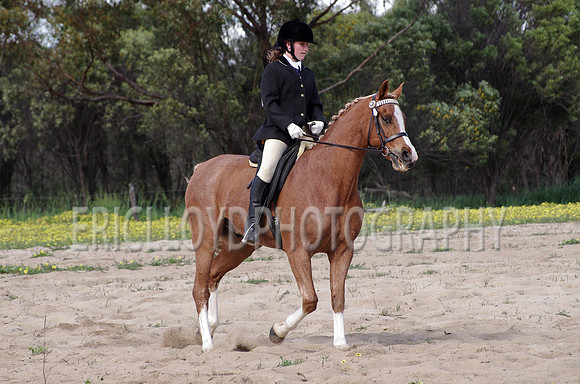 untitled-0973