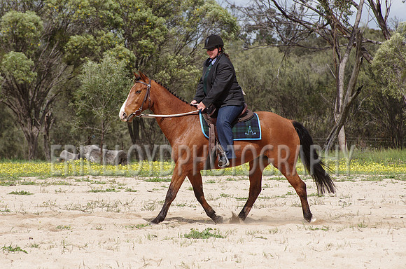 untitled-0772