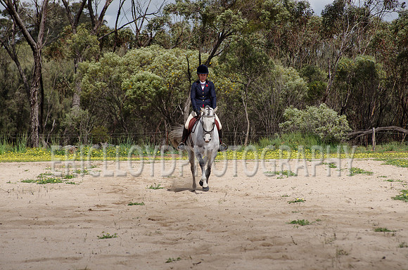 untitled-0798