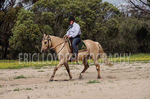 untitled-0858