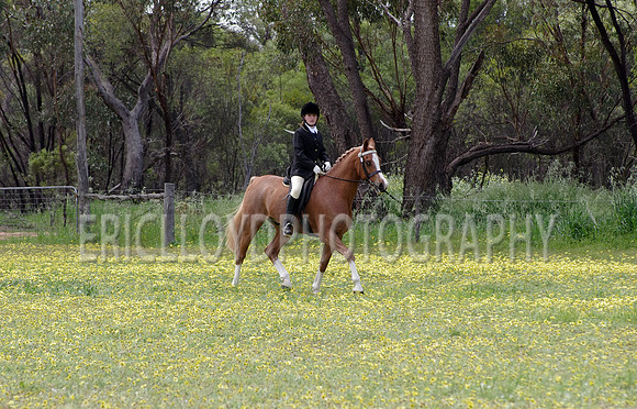 untitled-0744
