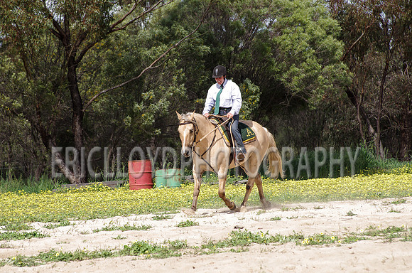 untitled-0878