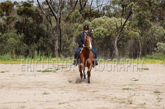 untitled-0784