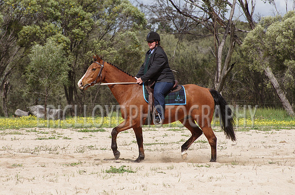 untitled-0771