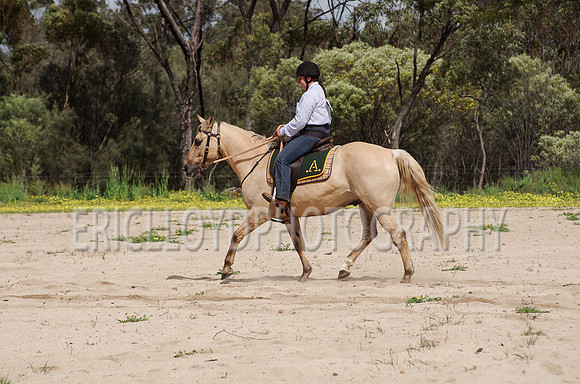 untitled-0773