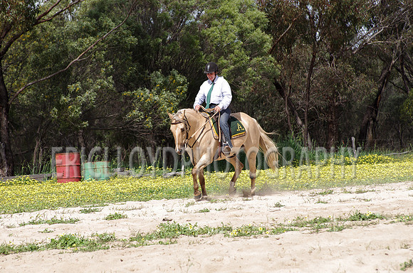 untitled-0875