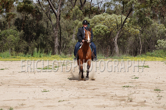 untitled-0783
