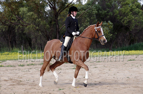 untitled-0974