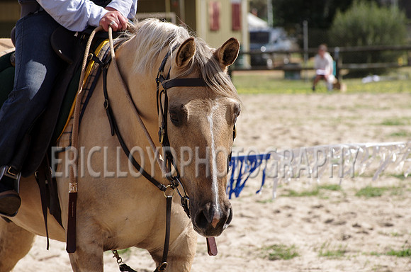 untitled-0856