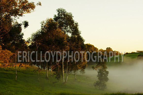 untitled-3168
