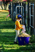 untitled-0096-2