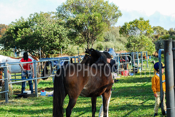 untitled-0075-2