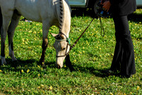 untitled-0083-2