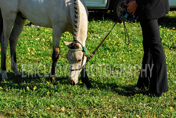 untitled-0083-2