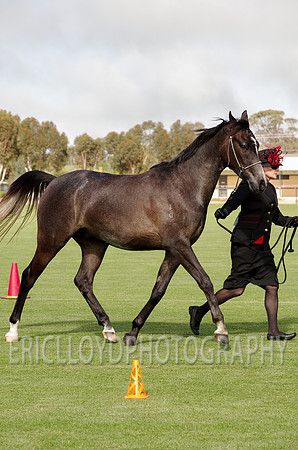 untitled-9492