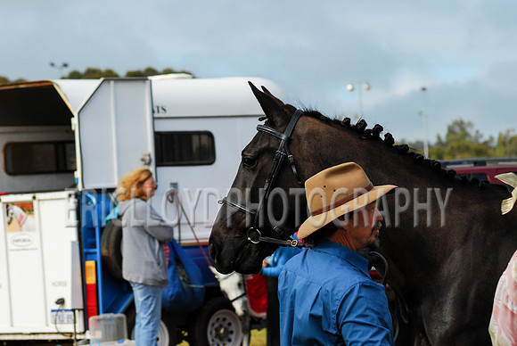 untitled-0110-2