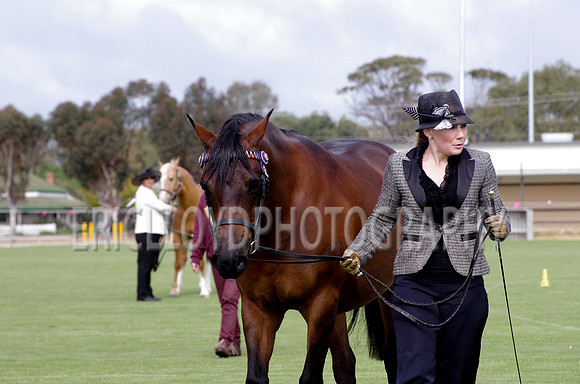 untitled-9541