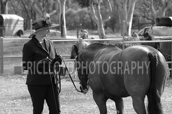untitled-9451