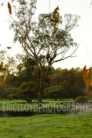 untitled-3155