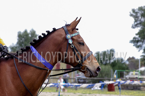 untitled-0765