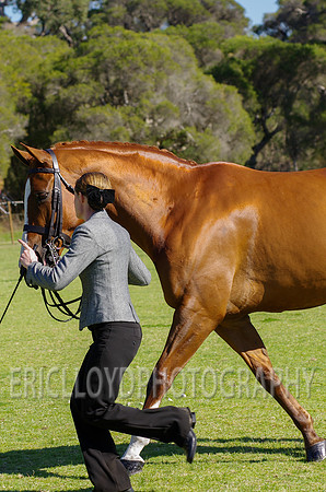 ERIC9698