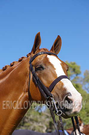 ERIC9687