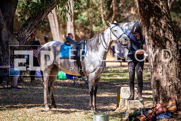 IMGP2175