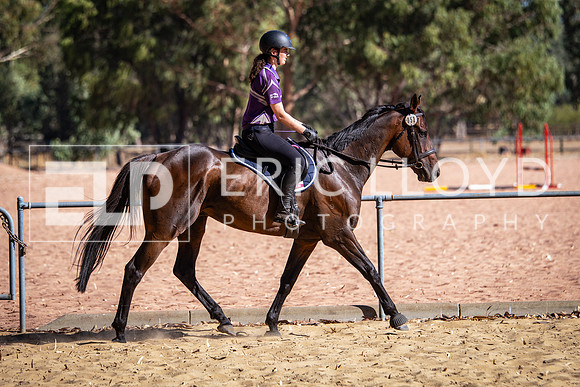 IMGP2543