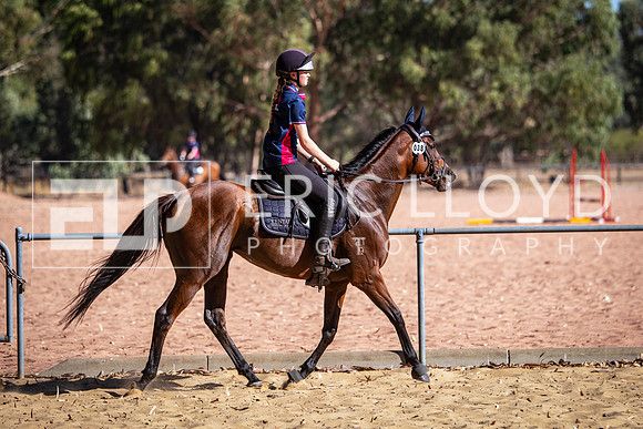 IMGP2556