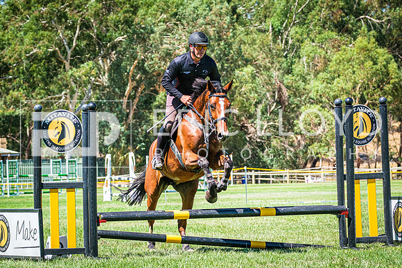 DSCF9351