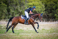 DSCF6513