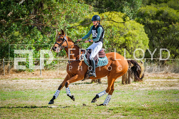 DSCF7278