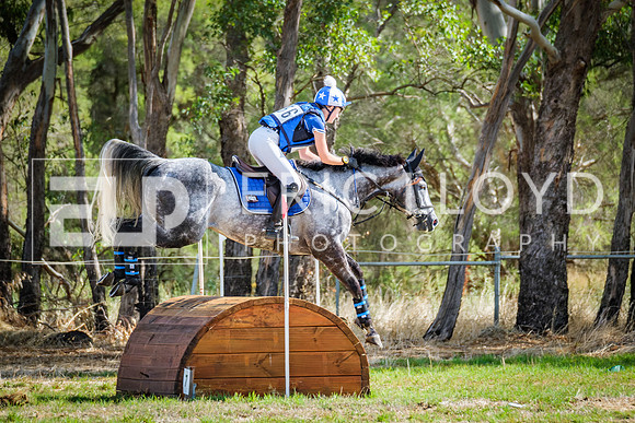 DSCF7445