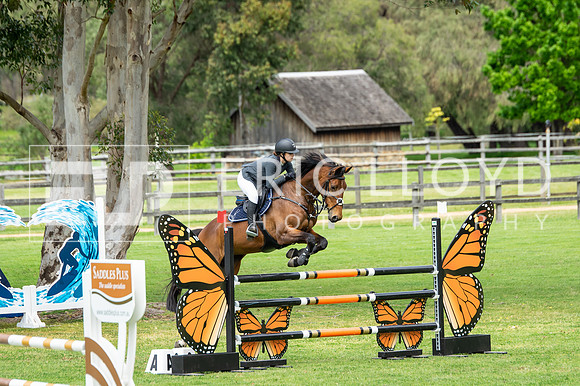 untitled-3636