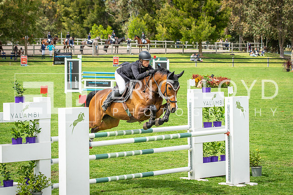 untitled-3984