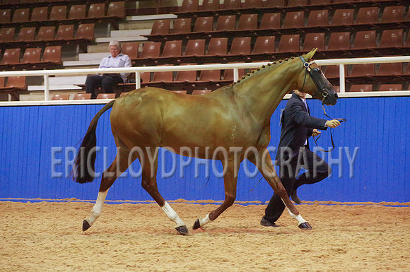 untitled-4604