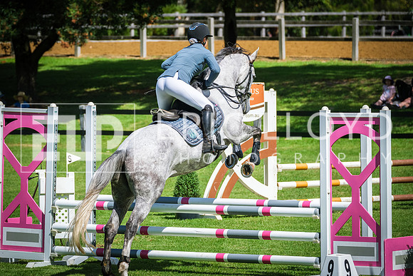 DSCF9454