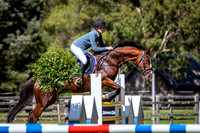 IMGP6133