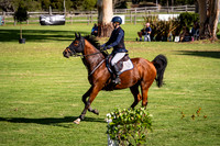 4. Ramsay's Horse Transport Welcome 1.35m