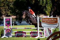22a. Duncan Equine Open 90cm