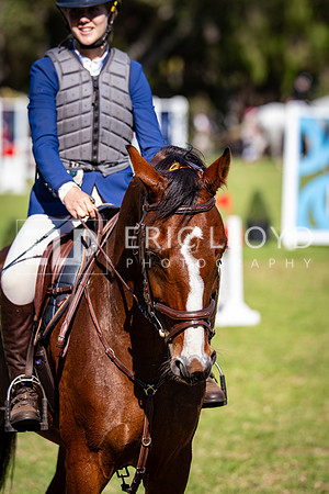 IMGP1496