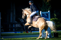 37 Saddles Plus Shooting Stars Classic 0.50m EA Ideal Time