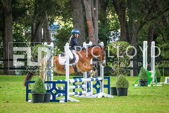 DSCF0819