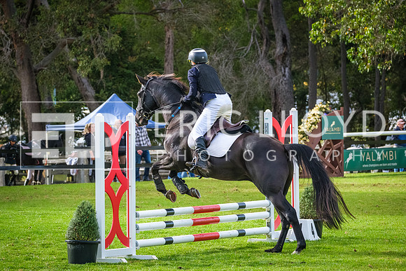 DSCF0531