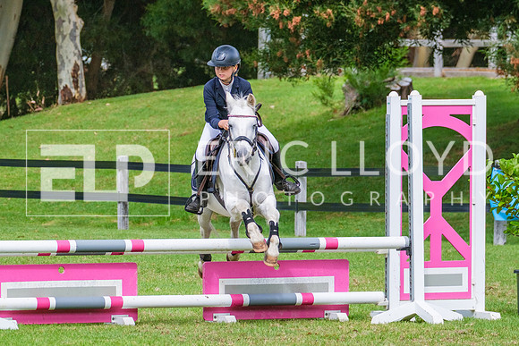 DSCF2037