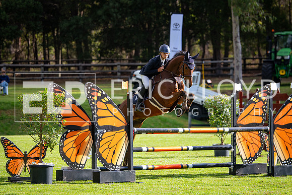 IMGP4381